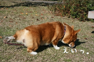 s-002 (3)