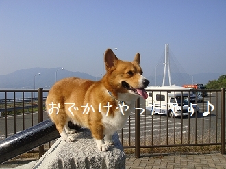 s-DSC02990