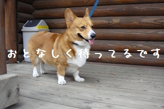 s-DSC03108