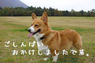 s-DSC03158
