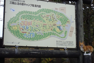 s-DSC03139