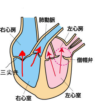 BlogPaint