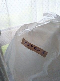 日替り_20180710