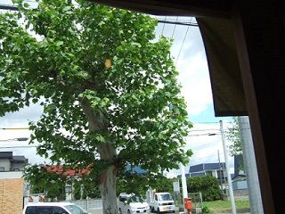 2015_0531_113647