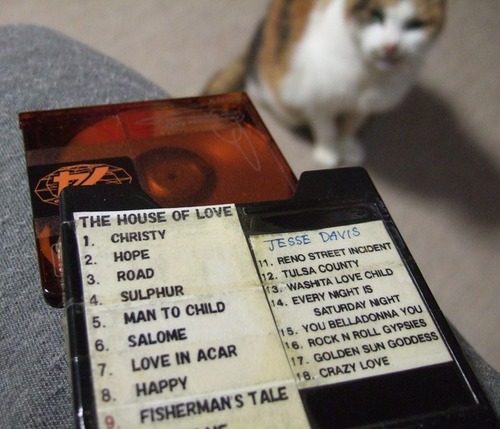 The House Of Love