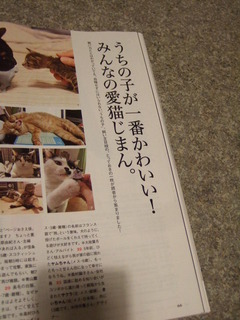 みんなの愛猫じまんのページ