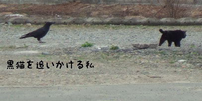クロちゃん×2