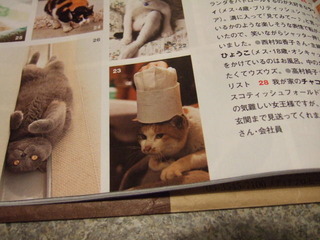 じゃじゃーん 三毛猫の副料理長!