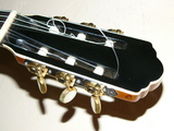 b67dcb69.JPG