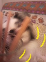 ���뤯�룳