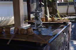 IMGP3451