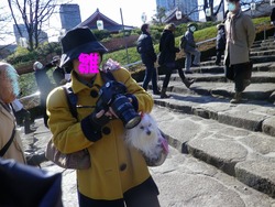 �Ҥʤޤޤ���