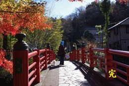 IMGP3604-1
