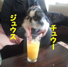 ���夦��