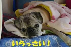 くりー