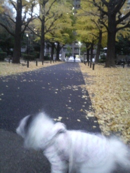2012120216210000