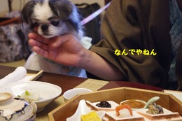 IMGP3584-1