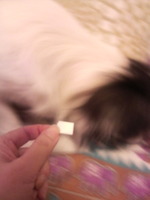 ���äݤ�