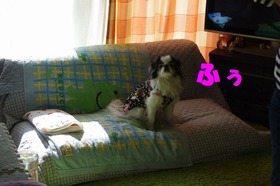 ふう