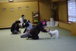 IMGP3530
