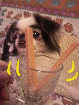 ���뤯�룱
