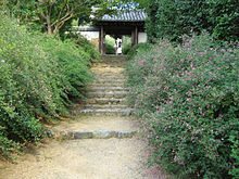 220px-Lespedeza_Byakugoji_Nara01