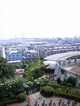 a16375f0.JPG