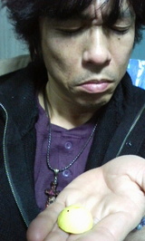 6c5b4534.jpg
