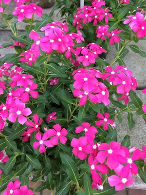 2017-08-26-10-09-54