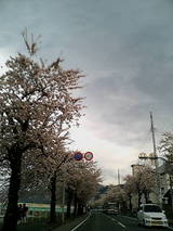 20050426172148.jpg