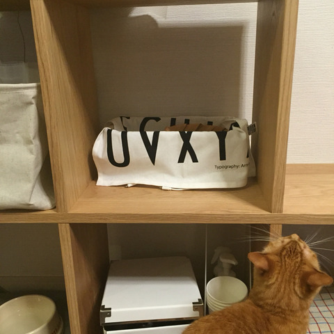 100均|セリア・ダイソーの優秀ペット用品 ...