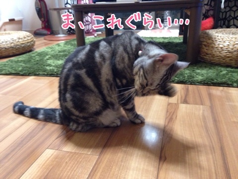 {164FCFAD-CA74-4775-9FC2-CD5E484E756B:01}