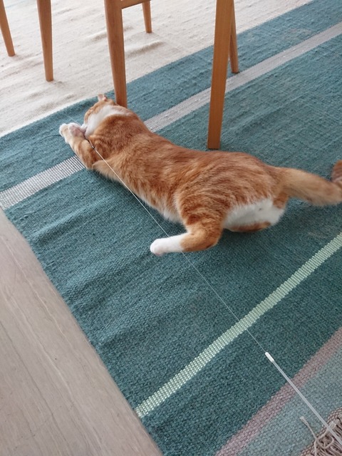 DSCPDC_0001_BURST20180708082539414