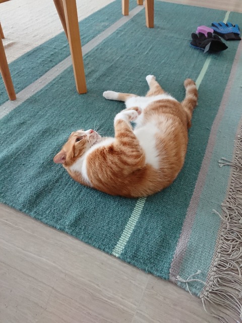 DSCPDC_0002_BURST20180708080710153