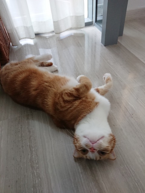 DSCPDC_0001_BURST20180707172603530