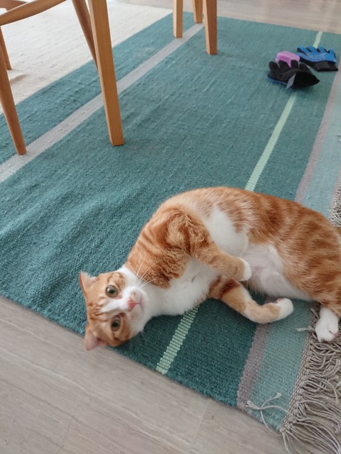 DSCPDC_0001_BURST20180708080712945