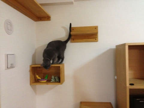 photo:04