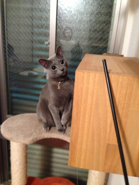 photo:03