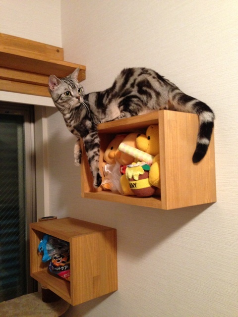 photo:02