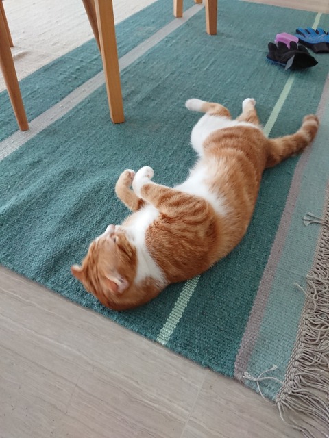 DSCPDC_0000_BURST20180708080710153