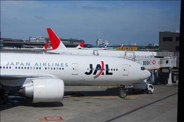 JAL機駐機中