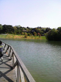 7a70aee0.jpg