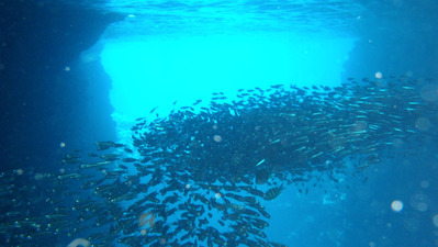 PA060254