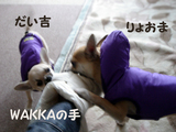 コンビ2