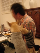 たかるコンビ