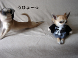 うひょ〜