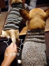 ガシっ