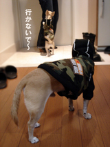 行かないで
