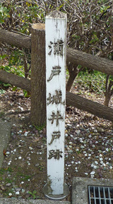 urato8