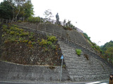torahaka6